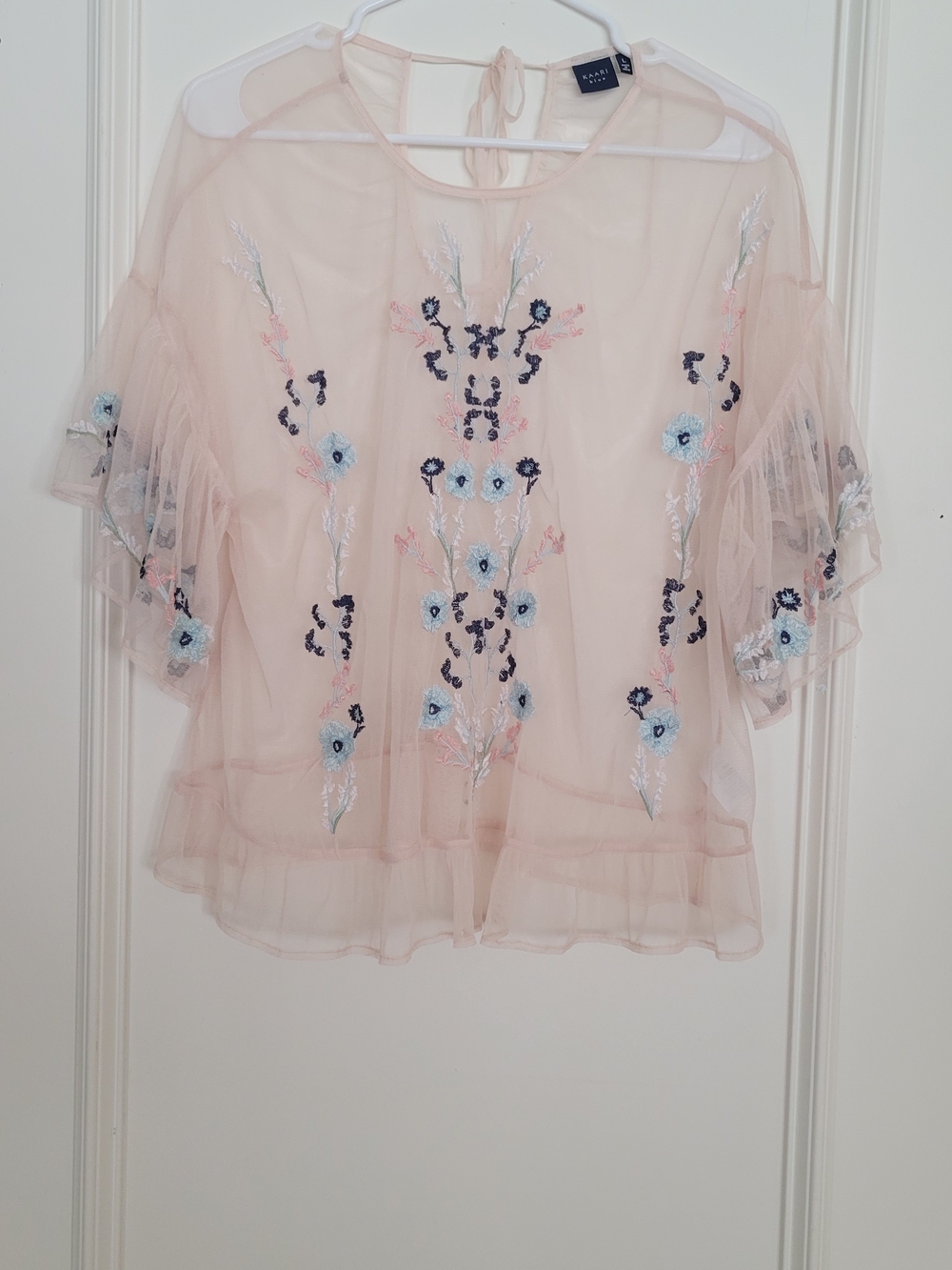 Kaari Blue Pale Blush Sheer Floral Embroidered Top